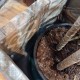 Large pot Panots customizable with 4 wheels and brakes