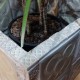 Gran Test Panots personalitzable amb 4 rodes i frens