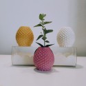 3 Mini gerros, mini testos pinya.