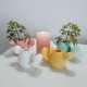 Mini florero cactus