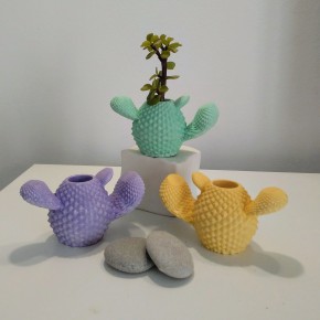Mini florero cactus