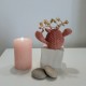 Mini florero cactus