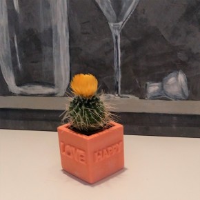 Mini Maceta cúbica "Love - Happy "