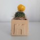 Mini souvenir cubic vase from Barcelona