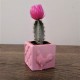 Mini cubic rooster and panot pot