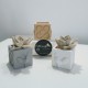 3 mini cubic pots Roosters and Panots, Barcelona
