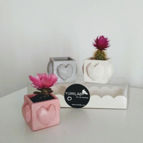 3 Mini Macetas cúbicas corazón