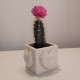 3 Mini heart cubic pots
