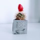 3 mini cubic pots souvenirs from Barcelona, exclusive design