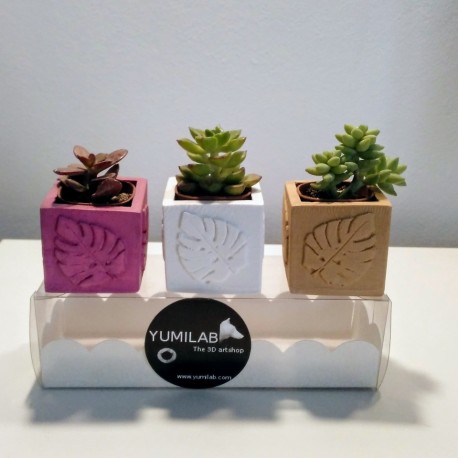3 Mini Macetas cúbicas hojas de monstera