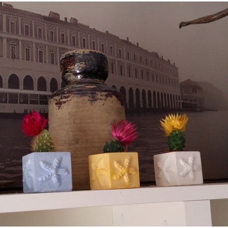 3 Mini starfish cubic magnetic pots, mini vases