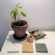 3 coasters,  Bilbao rosette tile, in ceramic resin