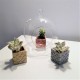 3 mini macetas cúbicas magnéticas roseta de Bilbao
