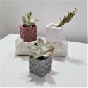 3 mini macetas cúbicas roseta de Bilbao
