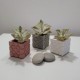 3 mini macetas cúbicas roseta de Bilbao