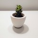 Mini pot "Yumilo" with ogival shape