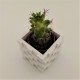 Mini staircase shaped vase