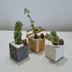 4 mini cubic soliflor vases, tile  rose of Barcelona