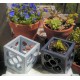 Large openwork Panot cubic planter 12 cm x 12 cm x 12 cm, flower tile, Barcelona flower