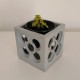 Test calat Panot gran 12 cm x 12 cm x 12 cm, rajola, Flor de Barcelona