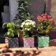 Test cúbic Bilbao gran, rajola, rajola, Flor de Bilbao