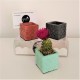 3 Mini floreros tarjeteros Flor de Bilbao