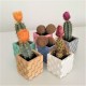 3 Mini macetas escalera