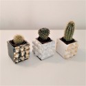 Mini maceta magnética conchas