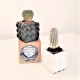 Mini magnetic shells pot
