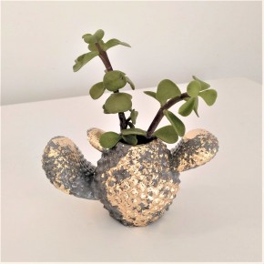 Mini test cactus amb acabat en metall daurat o platejat