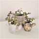 Mini test cactus amb acabat en metall daurat o platejat