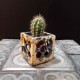 Test cúbic calat Roseta de Bilbao
