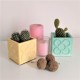 Test cúbic Panots