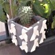 Test cocottes