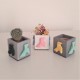 3 Mini Cocottes flowerpot