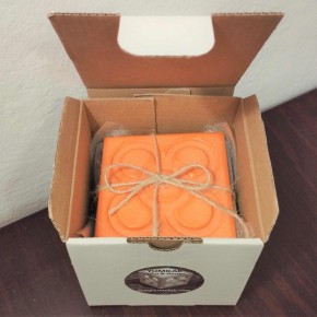 6 posavasos, resina ecológica Flor de Barcelona, Panot