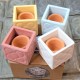 4 Mini Cubic Pots Panot of Barcelona