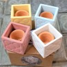 4 Mini Cubic Pots Panot of Barcelona