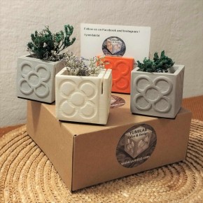 4 mini plantadores soporte de tarjeta panot de barcelona
