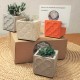 4 mini plantadores soporte de tarjeta panot de barcelona