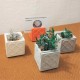 4 mini plantadores soporte de tarjeta panot de barcelona