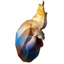 002 - GRAFFI ROOSTER