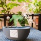 Oval Panot flowerpot