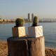 3 Mini Cubic Planters Panot of Barcelona