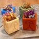 4 mini Indalo cubic planters