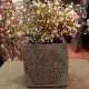 Gaudí tile planter